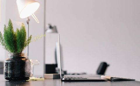 Spring’s fluctuating